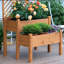 Lit de jardin surélevé en bois-125980746