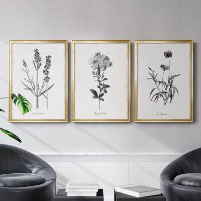 " Simply Imperial " 3 - Pieces