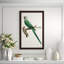 Perched Parrot 2 Print