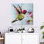 Brampt Hummingbird I-109119356