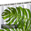 Rideau de douche Monstera-1655019501