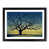 Black Framed selected