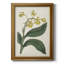 "Antique Botanical Collection X", reproduction d'art sur toile encadrée-79630263