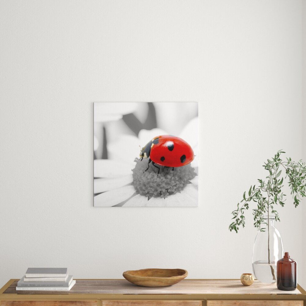 Leinwandbild Süßer Marienkäfer auf Gänseblume