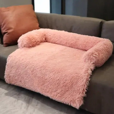 Dog House