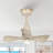 Edgebrooke 28'' Ceiling Fan with LED Lights-753155808
