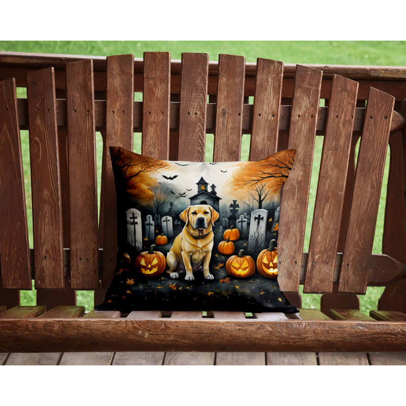 Other/No Pattern Outdoor Throw Pillow, 14" x 14"