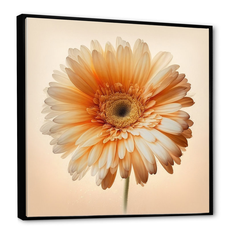Orange Gerbera Flower V " Orange Gerbera Flower V ", 16" W x 16" H, Black Floater Framed Canvas