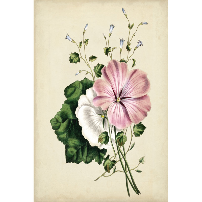 Natures Romance V by Vision Studio - Wrapped Canvas Print, 122cm H x 81cm W