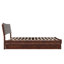 Phoenix Wood Platform Bed with Trundle-223210855-223210861