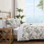 Island Orchid Quilt-395417542-345224214