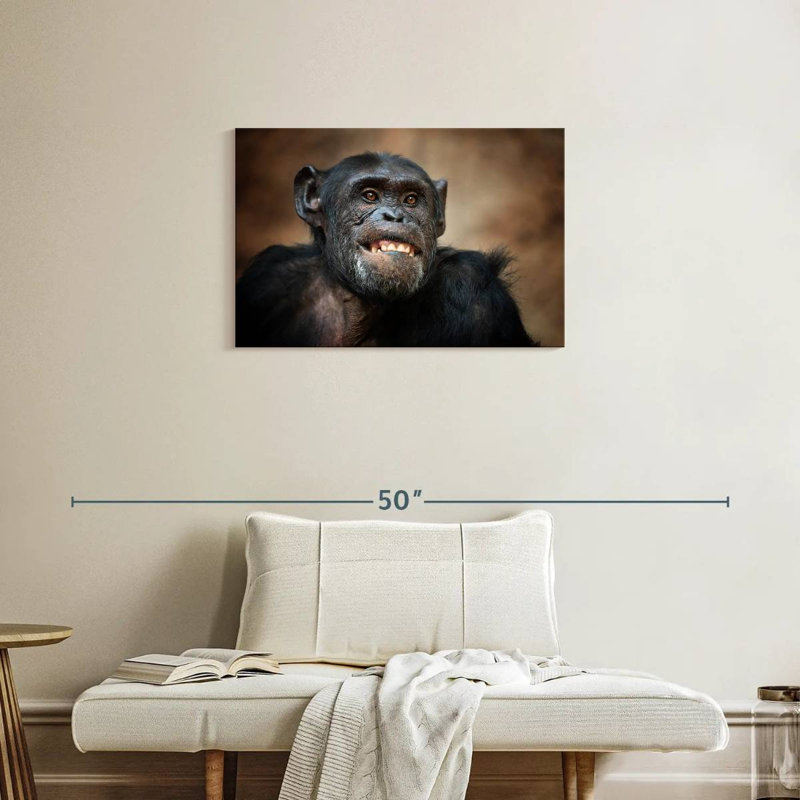 Crowle Funny Chimpanzee