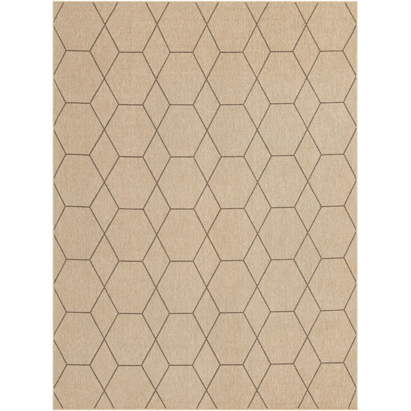 Tapis Sheglita, Rectangle 9 pi x 12 pi