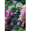 Decorative Bird Feeder