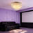 5-light Dimmable Shell Flush Mount