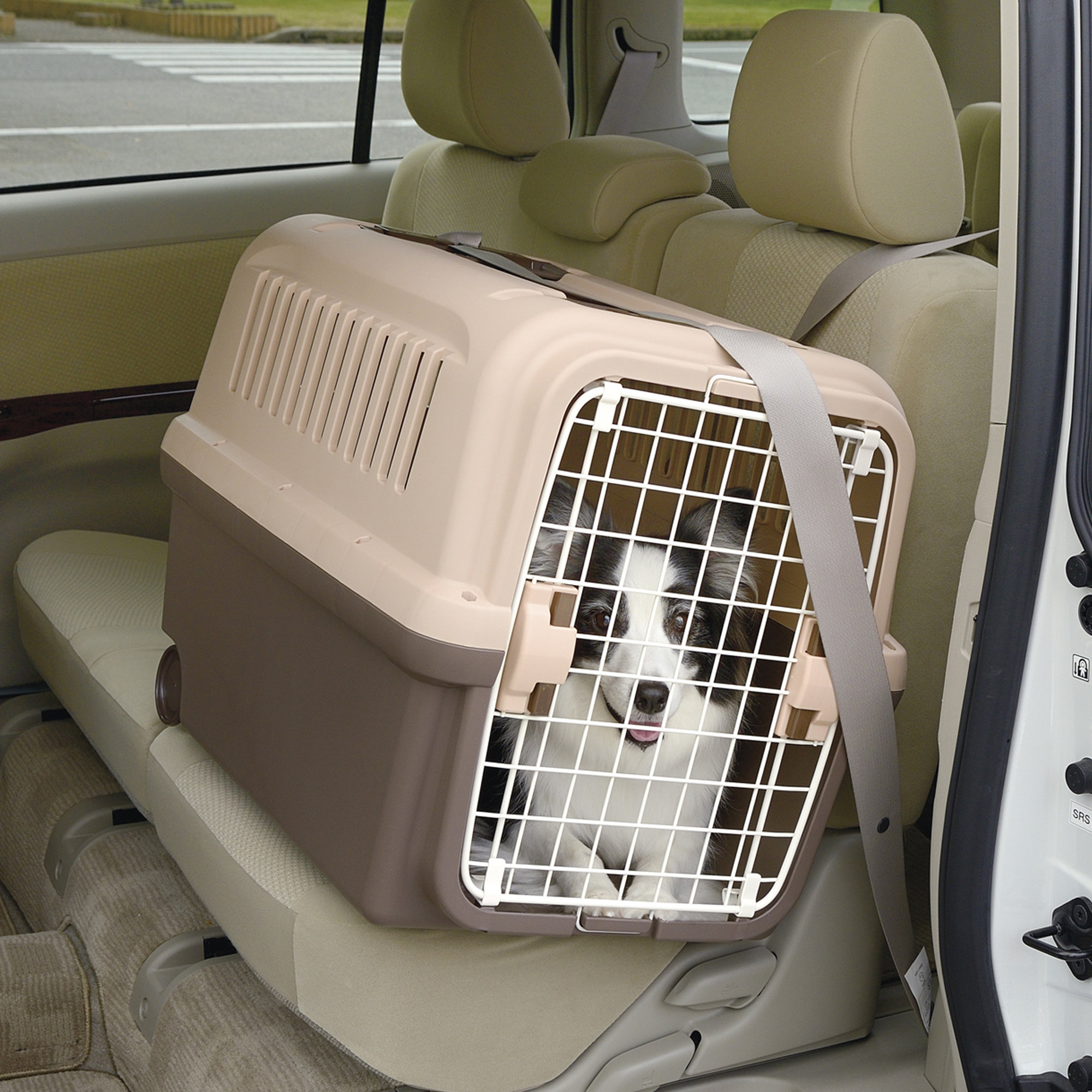 Mobile pet clearance carrier