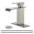 Brushed Nickel selected