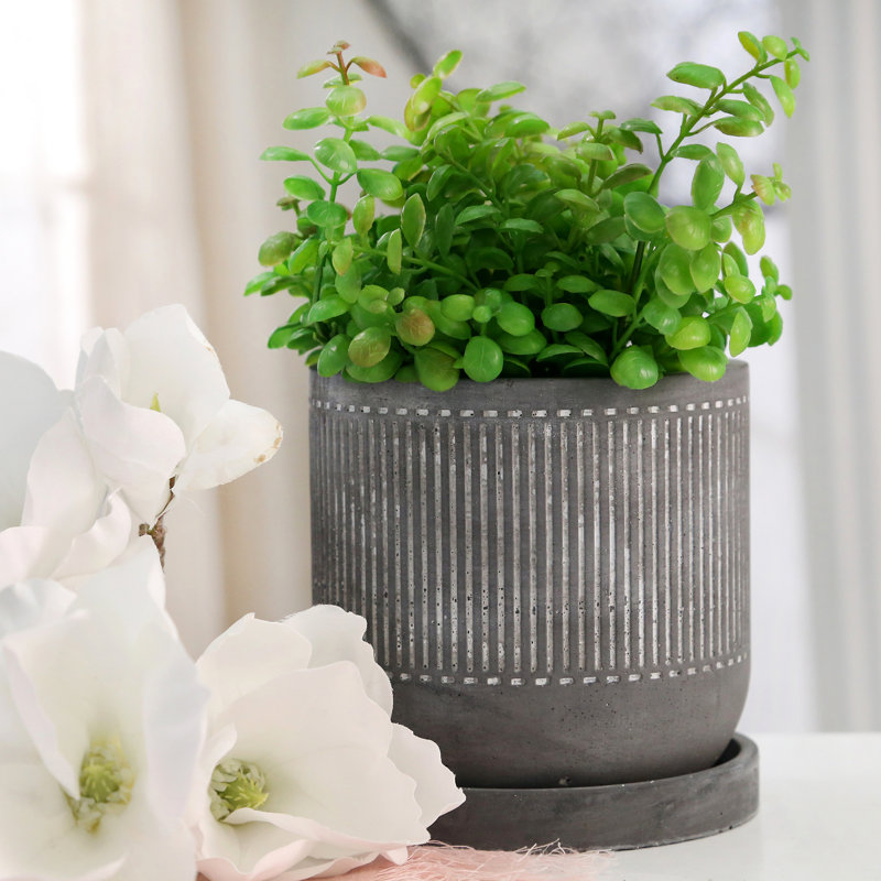 6" Line Pattern Planter W/ Saucer