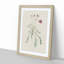 Wild Pink Flower Illustration - Framed Print-55640988-55640990