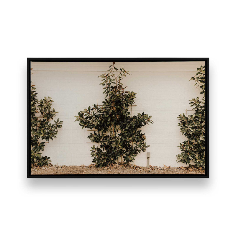«Green Embrace», reproduction sur toile, H 12,75 po x l 18,75 po x P 1,75 po, Cadre noir satiné