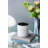 Modern Planter, Indoor Ceramic Planter