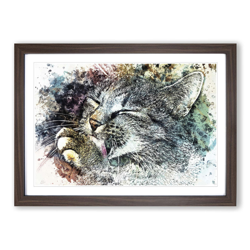 Cat Licking its Paw in Abstract - Picture Frame Graphic Art Print, Walnut Framed, 27cm H x 36cm W x 2cm D