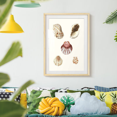 Kaul -Gallery Wrapped Canvas