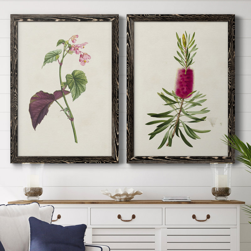 Pretty Pink Botanicals VI - 2 Piece Single Picture Frame Painting on Canvas, 20" H x 17" W x 1" D, Black