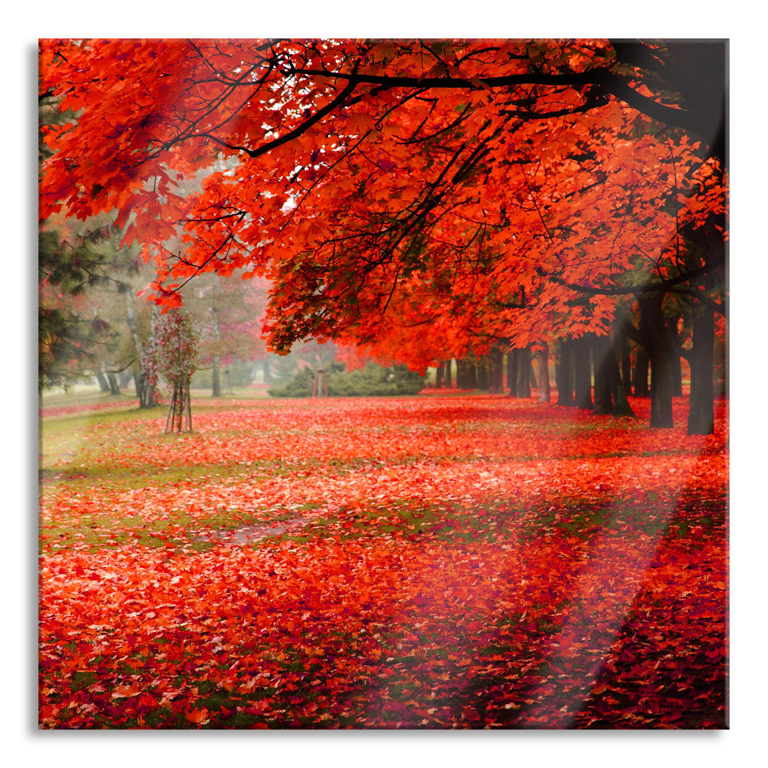 Glasbild Rotgefärbter Park im Herbst