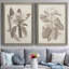 Antique sépia botanics VIIP, toile encadrée de qualité supérieure - prête à être accrochée-644339455-644339447