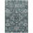 Machine Washable Indoor/Outdoor Earleville ACN2356 Traditional Rug-1279979472