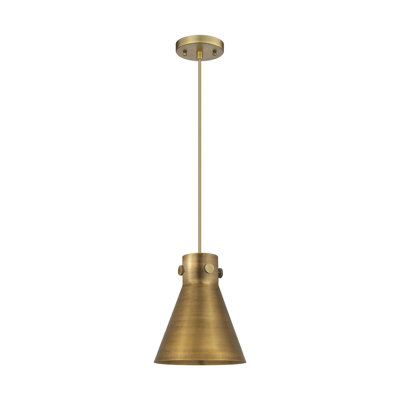 Luminaire suspendu à cordon en métal 1 lumière 10 po Coterie Newton