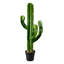 44 "plante de cactus artificielle en pot