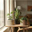 Pot rond Strata-851316410