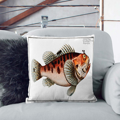 Square Cushion
