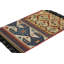 One-of-a-Kind Hand Knotted Area Rug