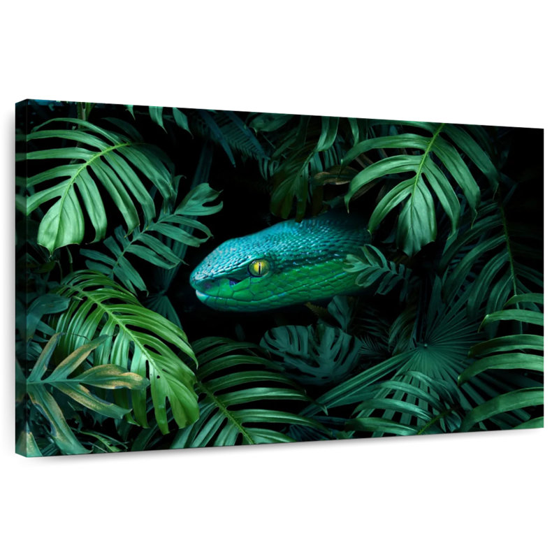 Serpent tropical, H 34 po x l 51 po