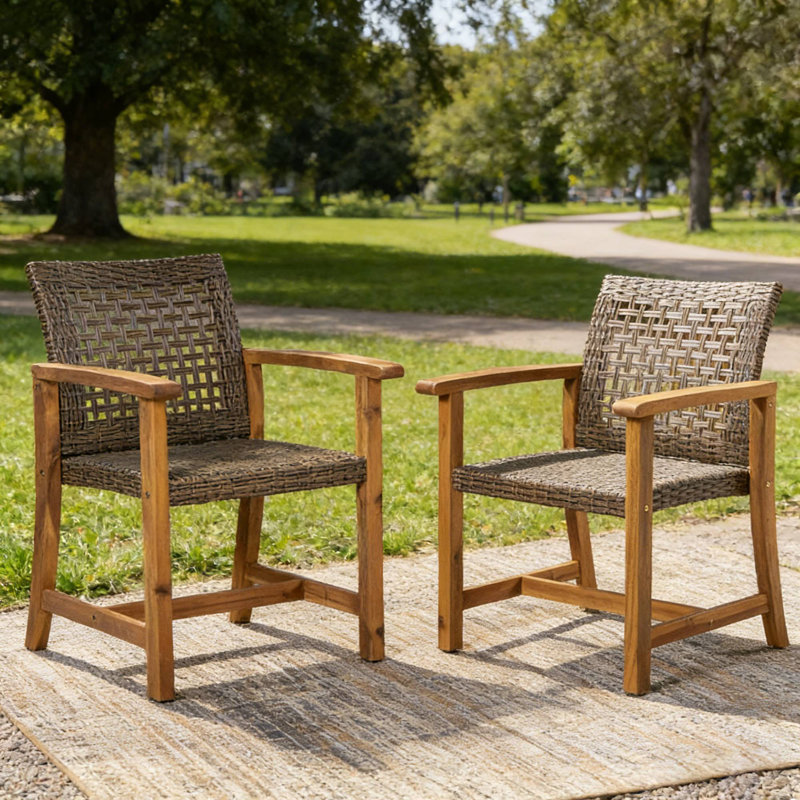 Ensemble de 2 chaises de salle à manger d'extérieur pour le brunch de patio et les rassemblements décontractés de jardin avec des amis