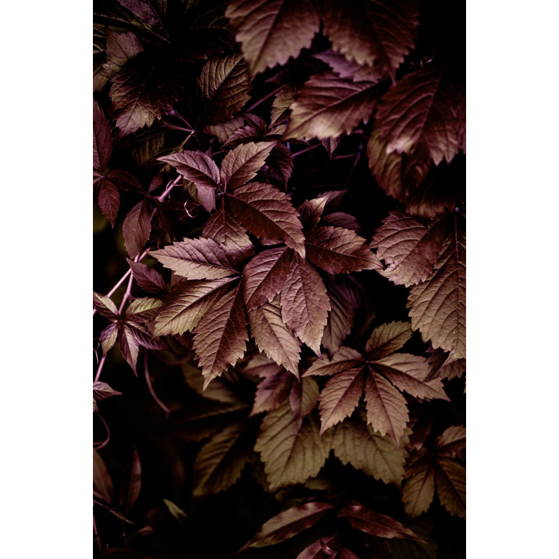 Wrapped Canvas Print, 50.8 cm H x 76.2 cm W