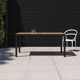 Sasha 63'' Extendable Outdoor Dining Table
