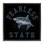 Art mural sur toile Fearless State Shark Floater par Spirit Animals / Life Is High