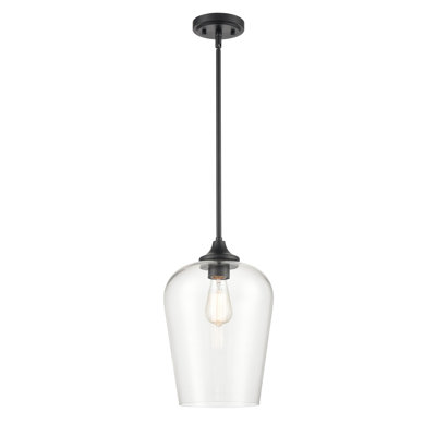 1 lumière 10 po Mini-luminaire suspendu noir mat