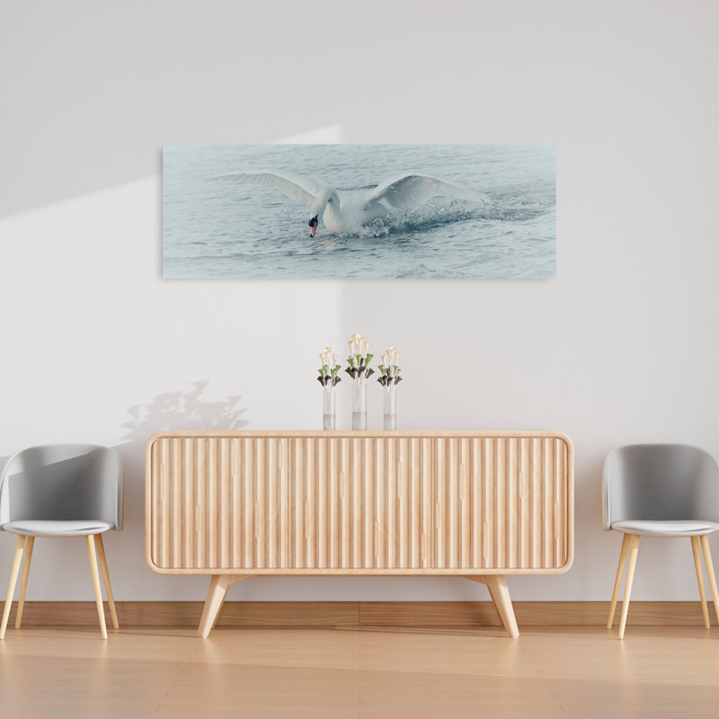 Cygne blanc, éclaboussure, sérénité, sérénité, oiseau, faune, H 16 po x l 48 po