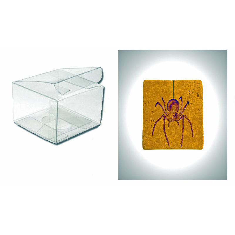 Sous-verre halloween stone