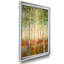 Birch Woods - Reproduction de photo sur toile-1964398503-1964398527