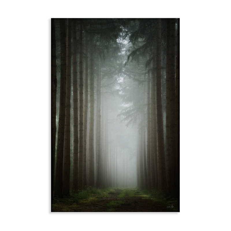 Toile au clair de lune à travers la forêt sombre, design par Martin Podt, H 36 po x l 24 po