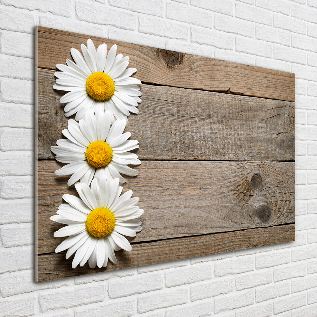 Glasbild Daisies Wood