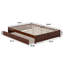  Lit plateforme en bois massif avec lit gigogne assorti Lamariah-457229962-457229960