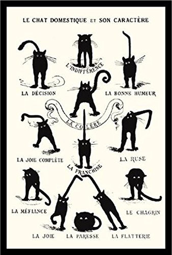" Le Chat Domestique Et Son Caractere " Ivy Bronx 