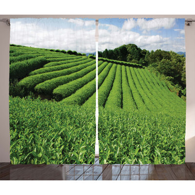 Gady Landscape Tea Fields Surrounding with Forest Semi-Sheer Curtain Panel